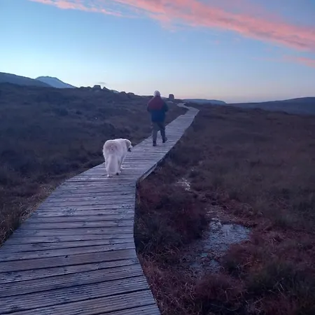 Διαμέρισμα St Patricks Appt