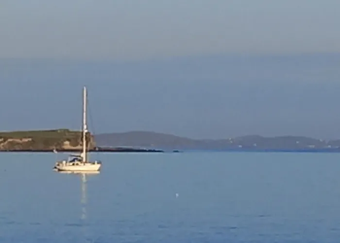 St Patricks Appt Apartment