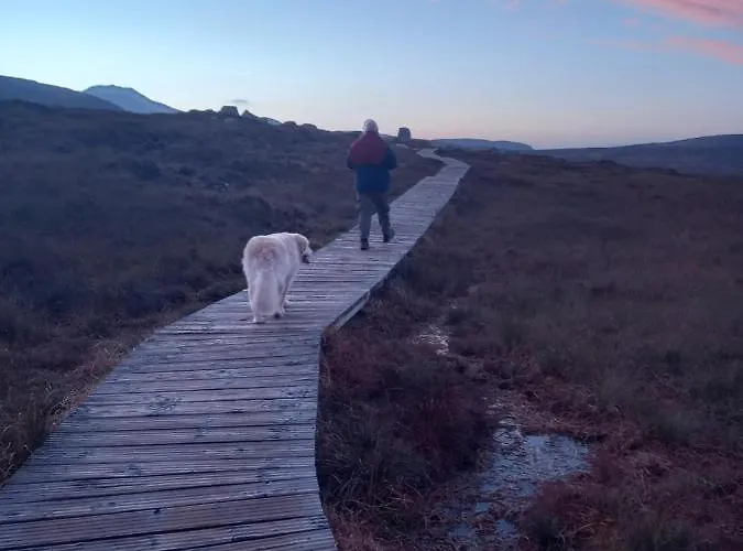 Appartement St Patricks Appt